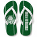 Chinelo Masculino Palmeiras Varias Estampas Chinelo Masculino Palmeiras Varias Estampas